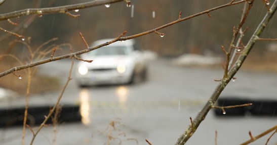 Puchar Rallyland WRC